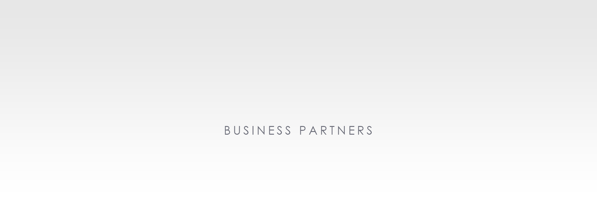 BUSINESS PARTNERS